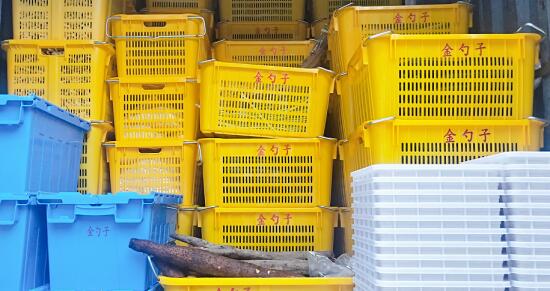 1591069658907606.jpg 食材配送"QQ截圖20200602114555.jpg"/