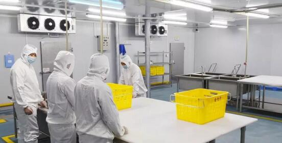 1591667614917069.jpg 凈菜加工"QQ截圖20200609095227.jpg"/