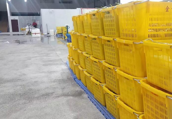 1591842138133803.jpg 生鮮配送"QQ截圖20200611102151.jpg"/