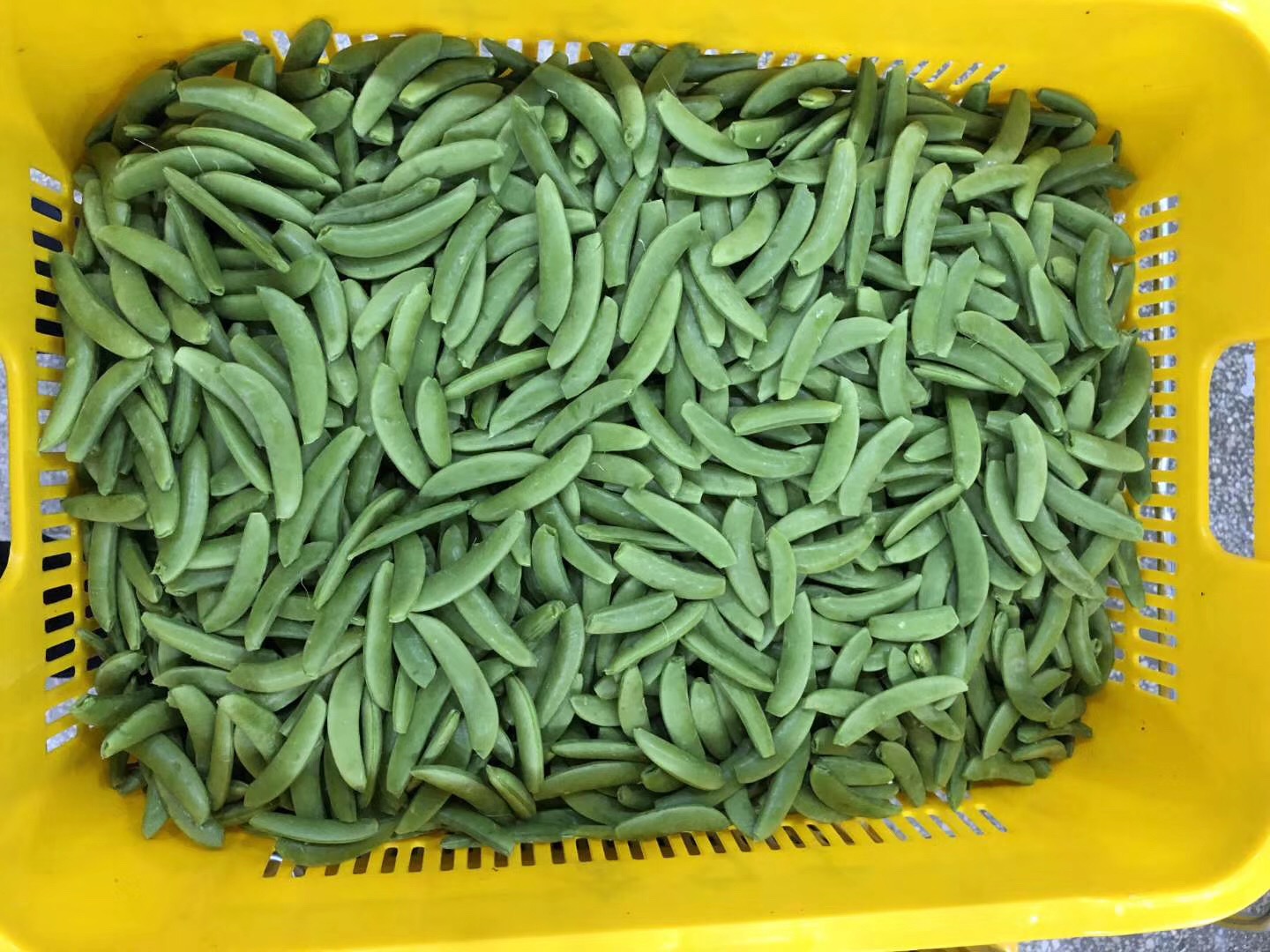 1595833520130667.jpg 微信圖片_20200110103321.jpg