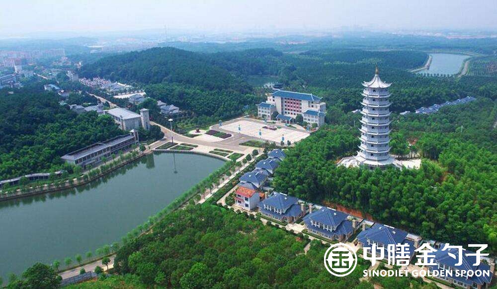 1639117152180139.jpg 1639117152180139.jpg