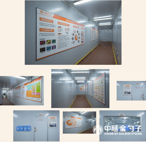 1647919405906075.png 6.png