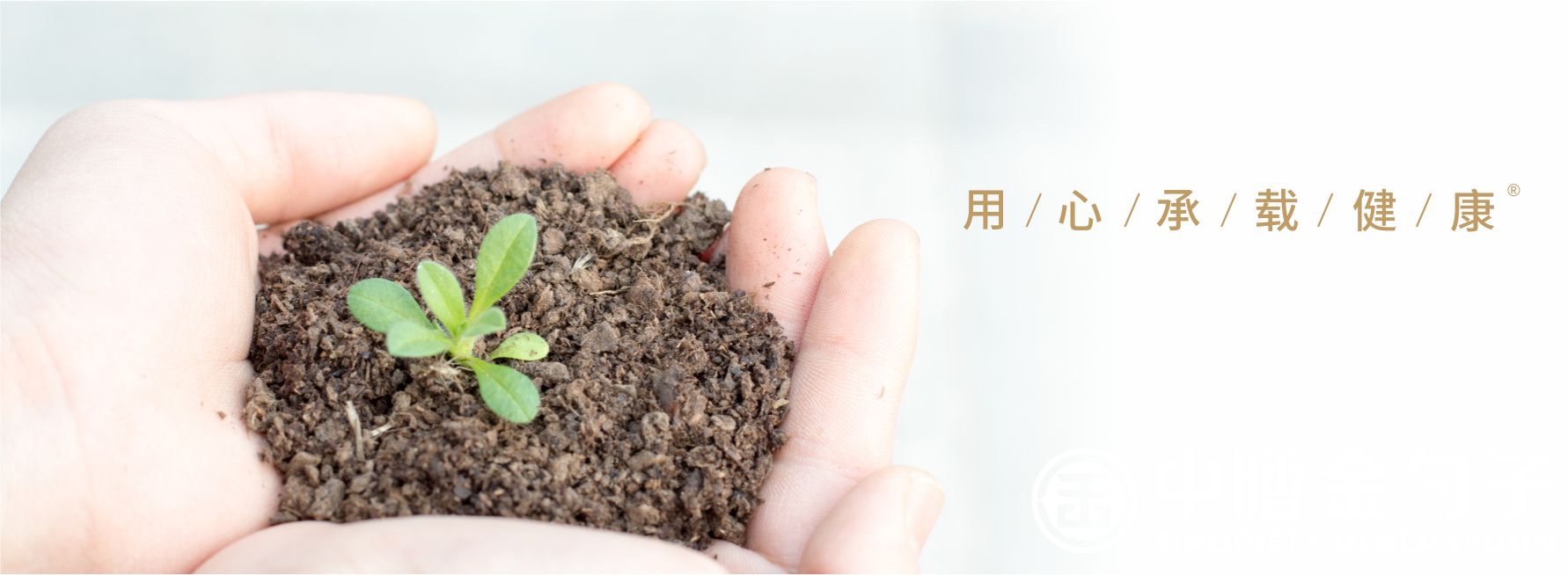 1651905463106603.png 頂關注.png