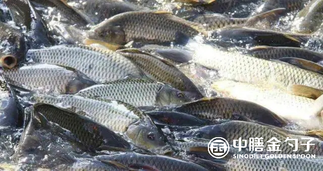 1662349151165904.png 圖片1.png